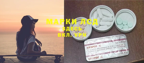 стафф Арсеньев