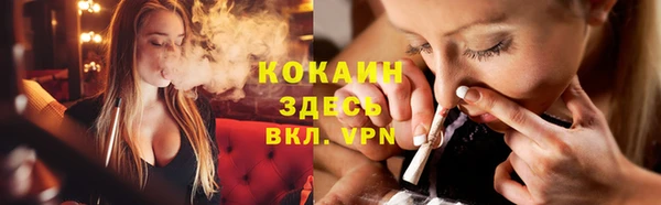 стафф Арсеньев