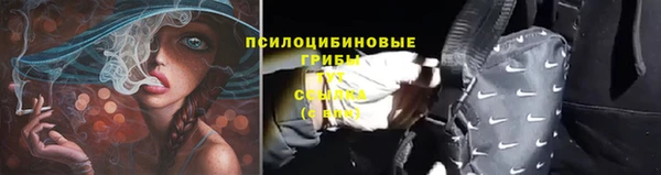 стафф Арсеньев