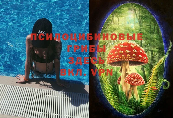 стафф Арсеньев